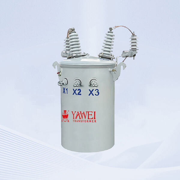 Single-Phase Pole-Mounted Transformer