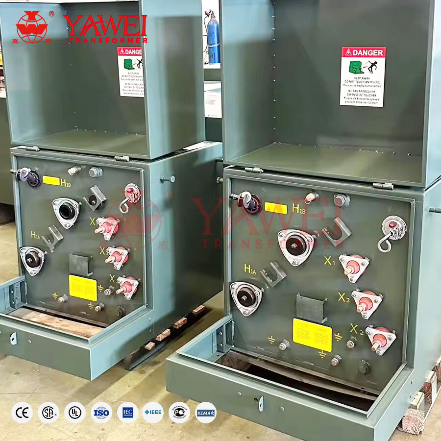 Customizable Options to Meet Specific Voltage and Power Needs