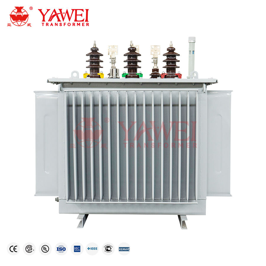 Customizable options available to meet specific project needs with three phase oil immersed transformer