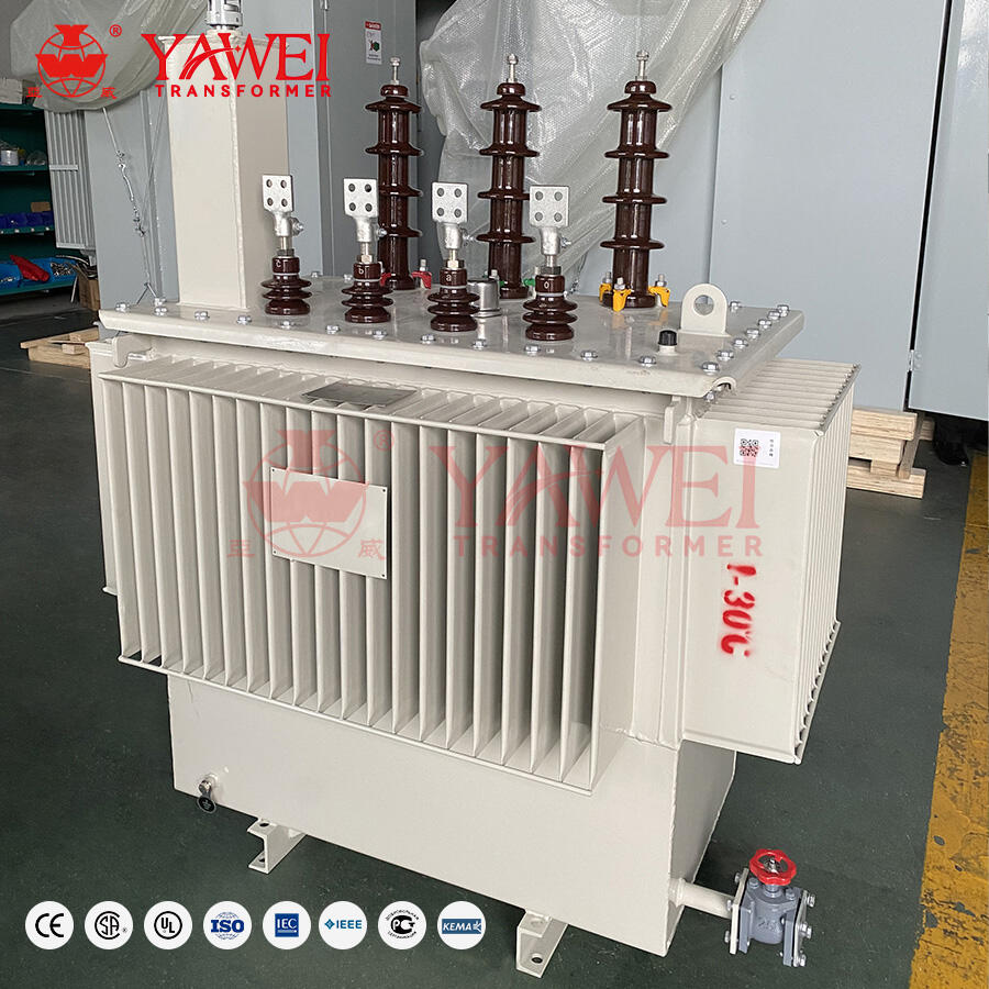 Customizable options available for bulk orders of low voltage transformers