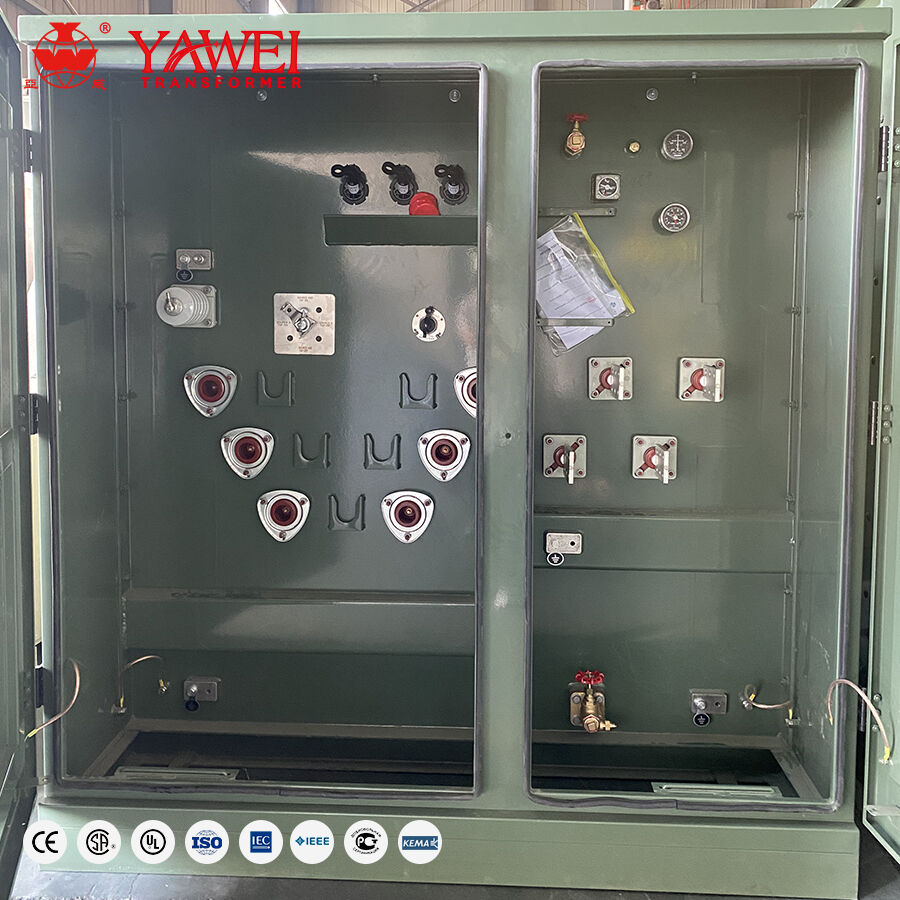 4000kva Three Phase Oil-Immersed Pad Mounted Transformer with N3RX Paint for Shore Condition.jpg