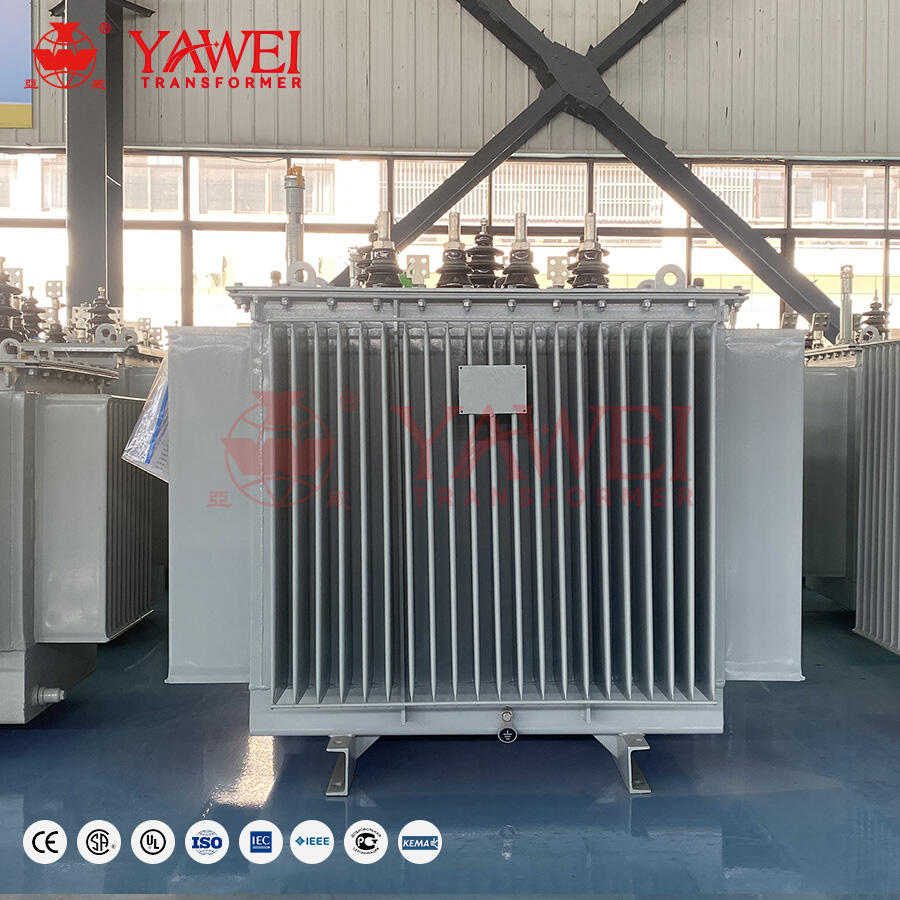 Trustworthy and reputable supplier of AC step down transformers with a track record of customer satisfaction