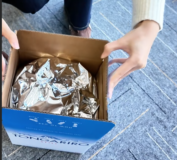 Case Study: The Perfect Combination of a 10KG Spout Pouch and Load-Bearing Carton