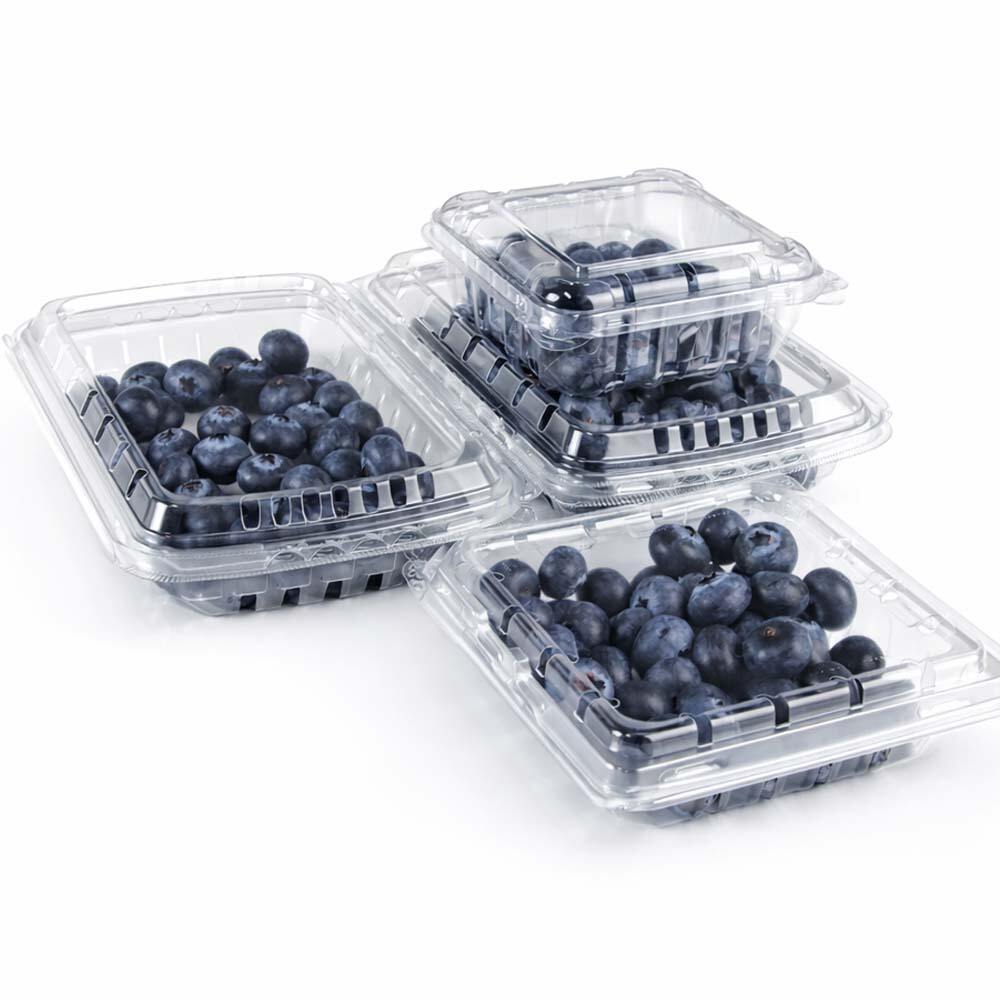PET Clamshell Blueberry Containers – Keep Berries Fresh & Visible