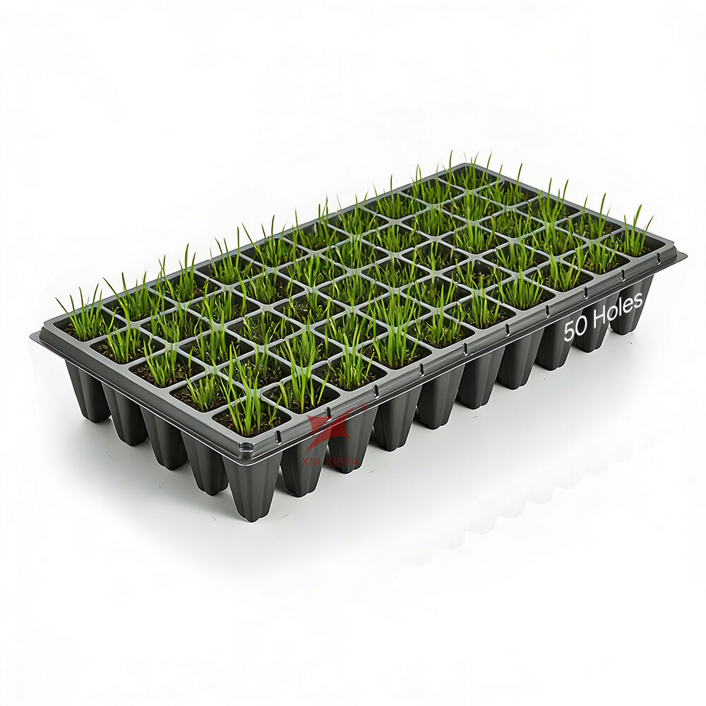 XM XIEFA engångs plantkärl i PS | Direktleverans från fabrik | Komplett lösning för förpackningar