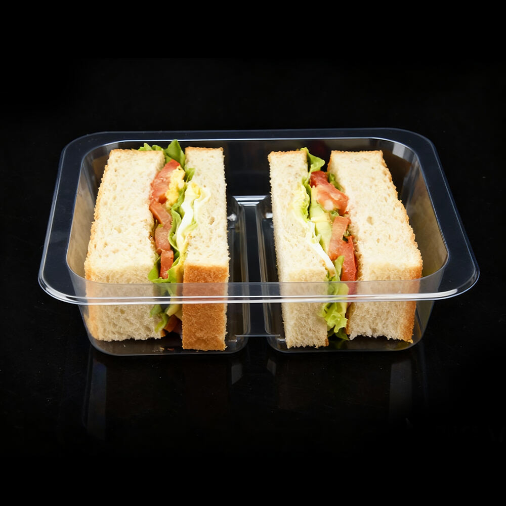 XM XIEFA Prilagođena Veleprodajna RPET Tepsija za Sendviče sa 2 Odeljka