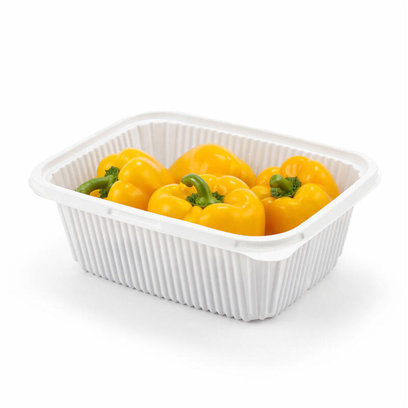 How to Improve Fruit Presentation with Premium Packaging Boxes