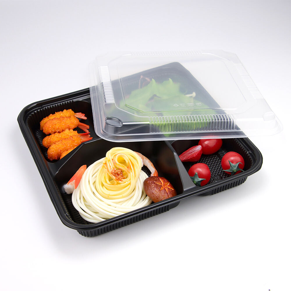 Jednorazowy pojemnik PP na jedzenie na wynos z pokrywką PET | Przeciwprzeciekowe pudełko do mikrofalówki