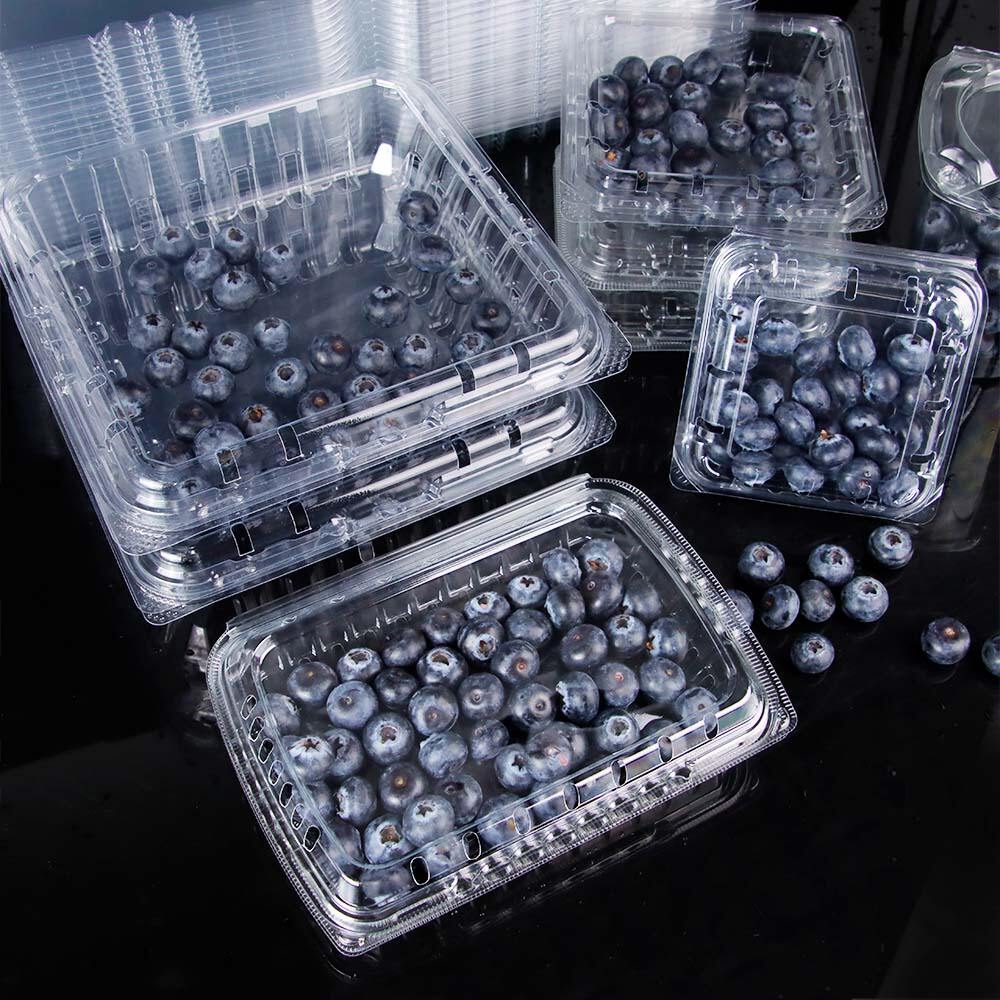 PET Clamshell Blueberry Containers – Keep Berries Fresh & Visible ...