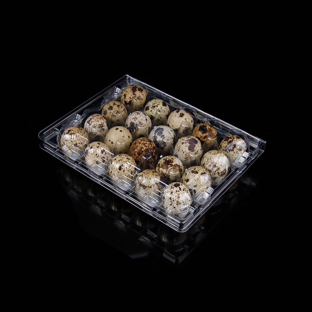 engångsförpackning i klart RPET med 20 celler för kvittekgsbehållare