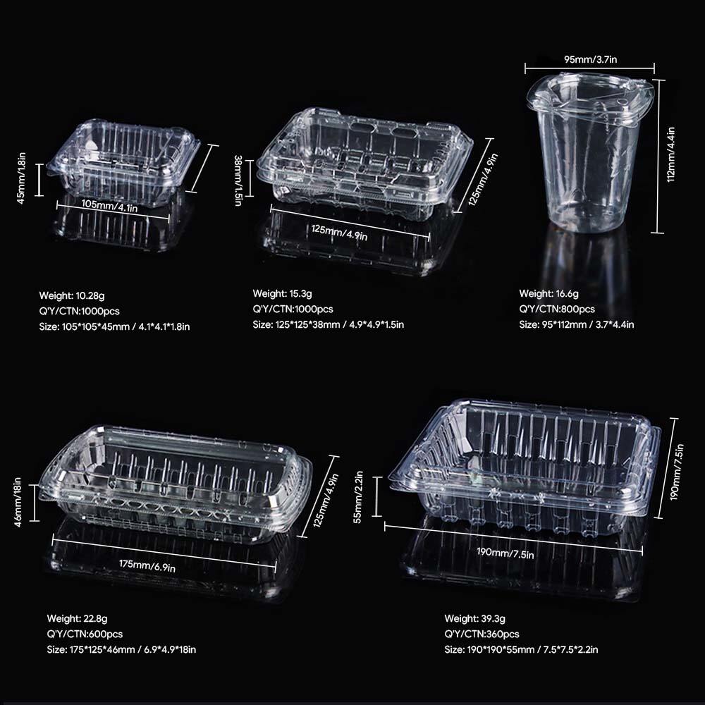 PET Clamshell Blueberry Containers – Keep Berries Fresh & Visible ...