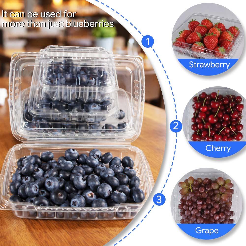 PET Clamshell Blueberry Containers – Keep Berries Fresh & Visible ...