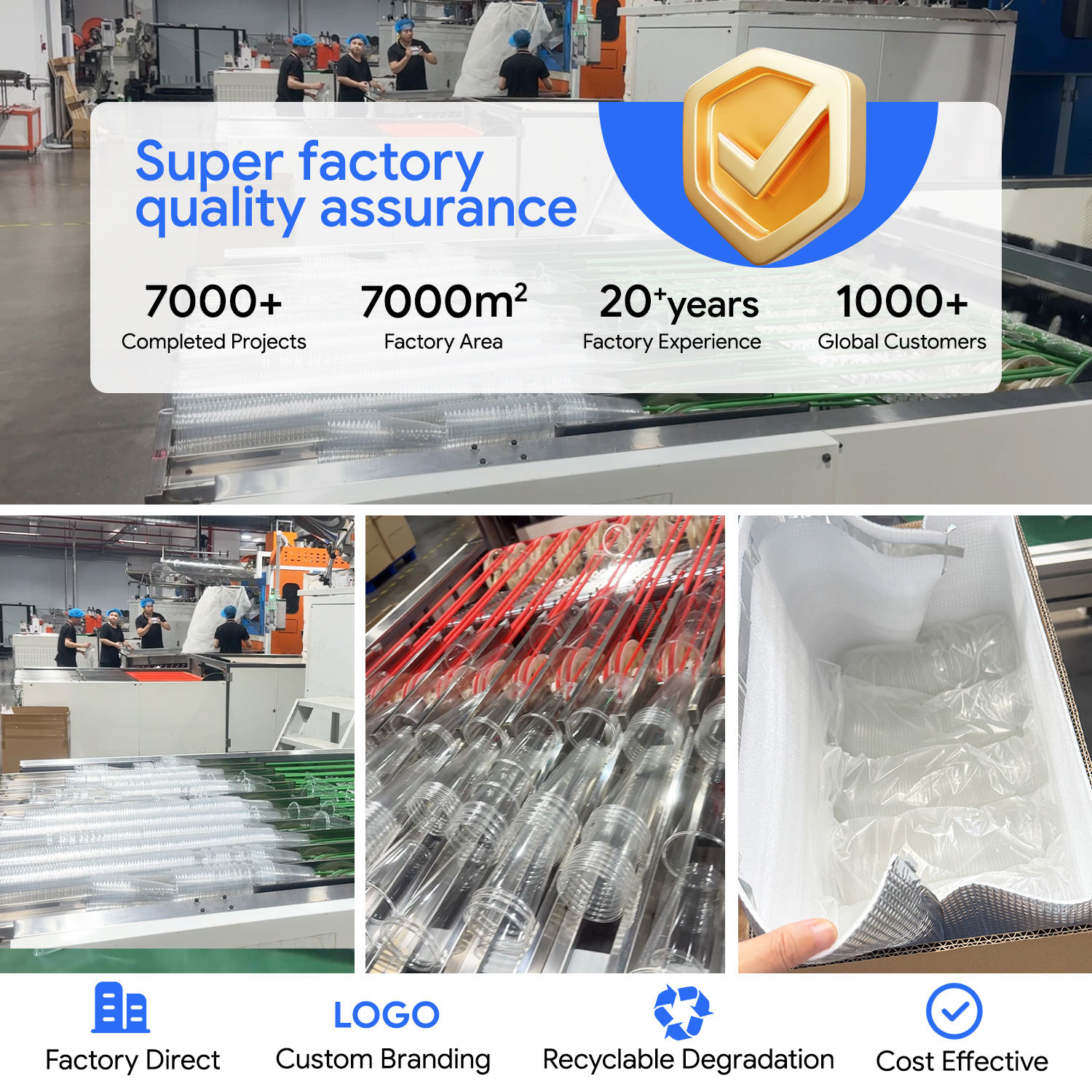 كؤوس بلاستيكية قابلة للاستخدام مرة واحدة من مادة PET وPLA، للبيع بالجملة من مصنع XM XIEFA