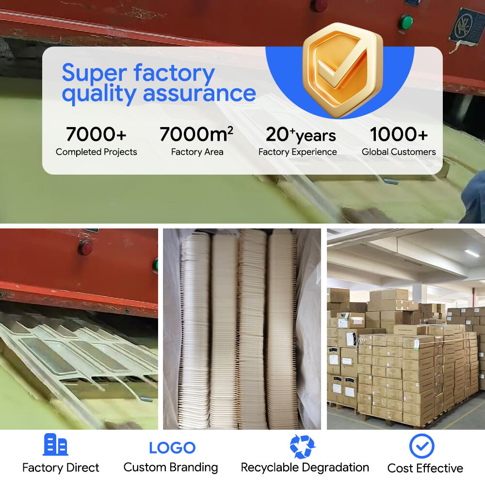 Jednorazowe pojemniki żywnościowe typu muszelka PP z bezpiecznym zatrzaskiem | Opakowania na wynos i dostawy