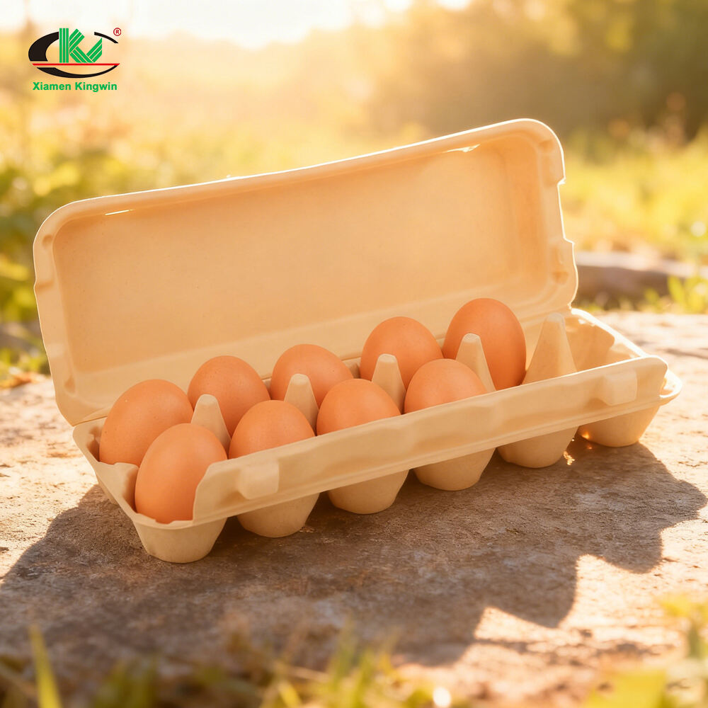 工場直販のパルプ製卵パック｜エコフレンドリーな卵包装のワンストップサプライヤー
