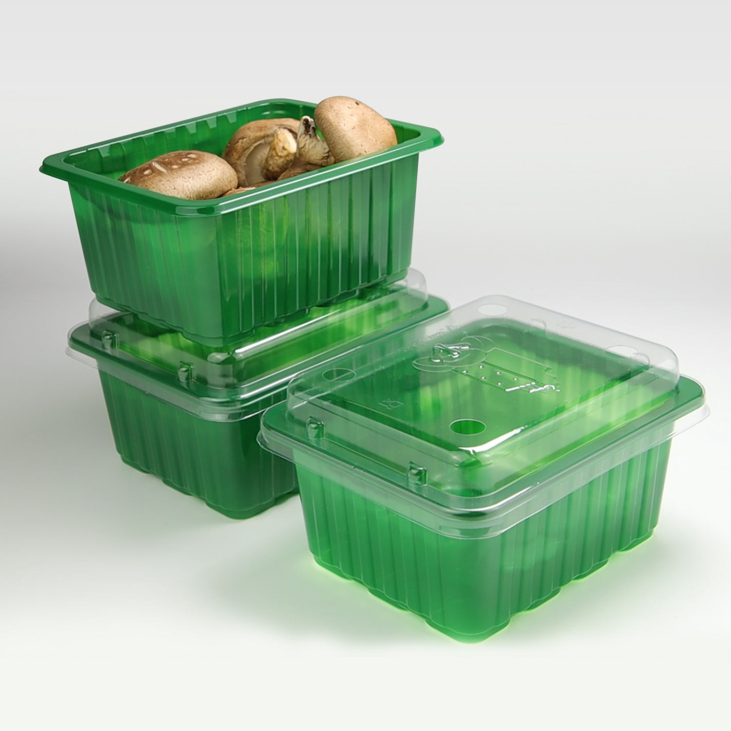 Ekologik RPET Taom Tayyorlanma Qurutuvchiliqli Konteyner | Qurutuvchiliqli Quruvli Gaftarm Konteyner