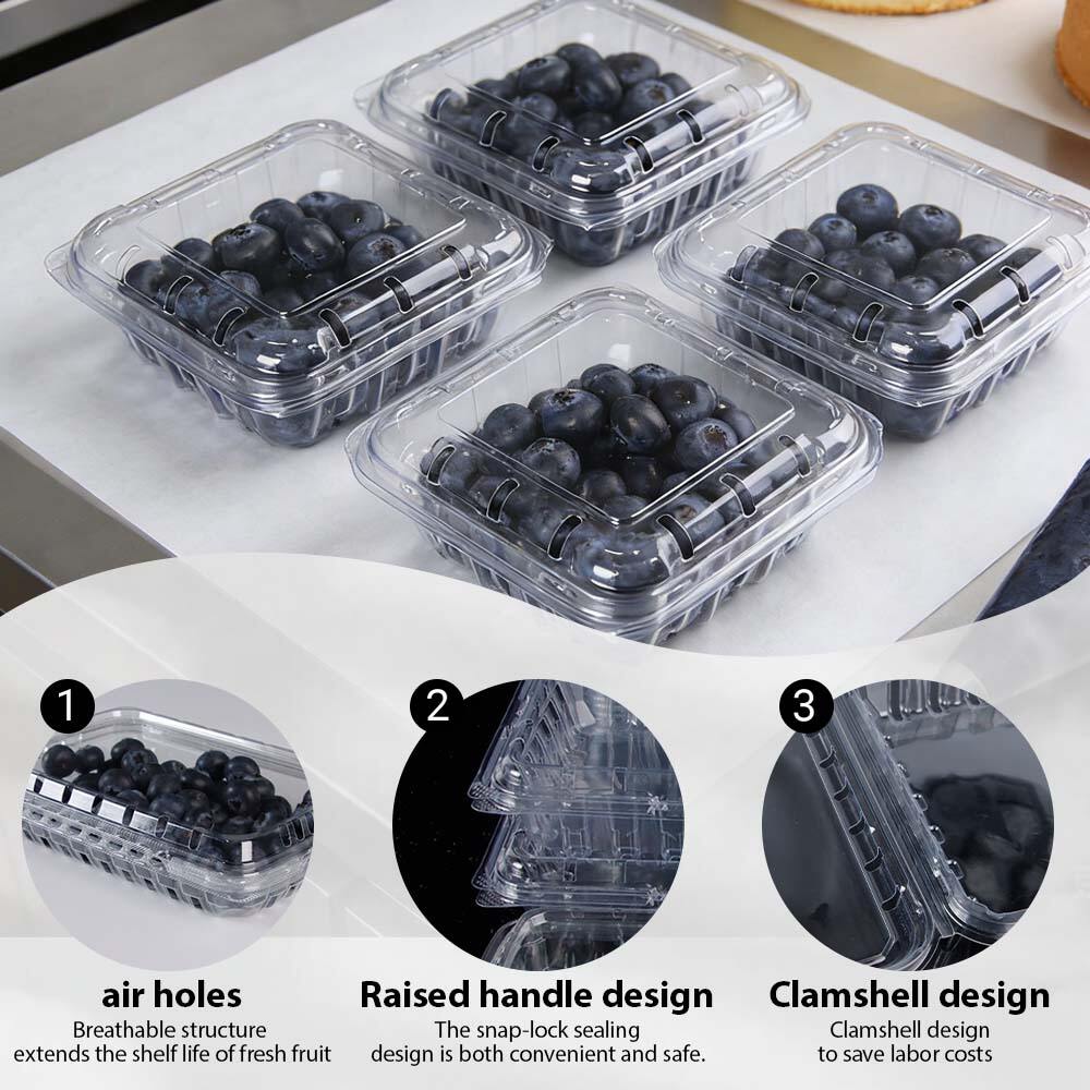 News - XiaMen XieFa Vacuum Forming Packaging Co.,Ltd.