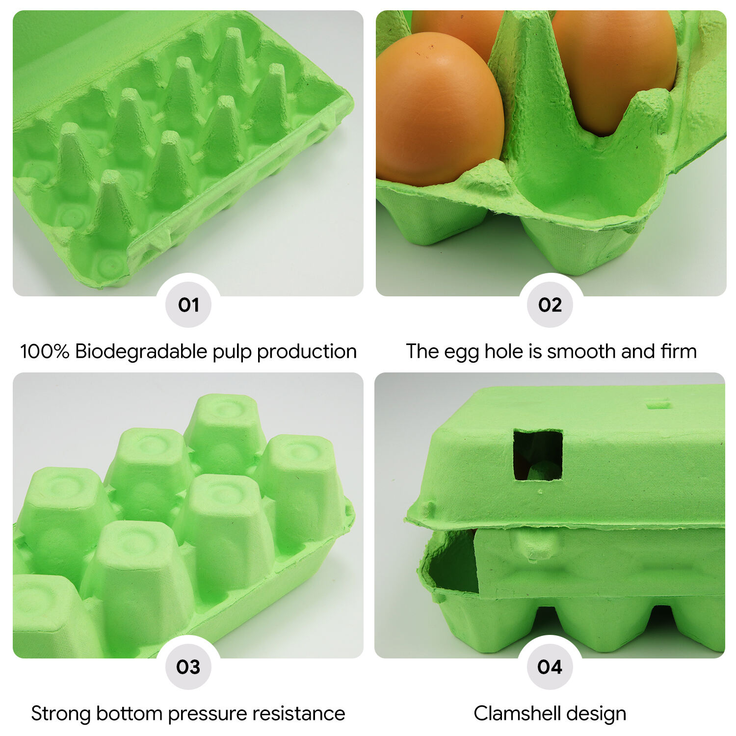 Paper pulp egg box_10(a2181364b6).jpg