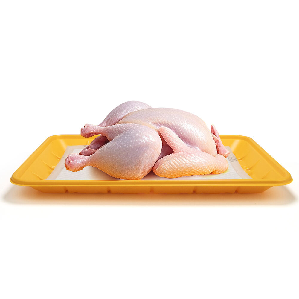 Wholesale Disposable Food PP Tray Containers