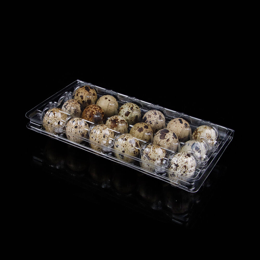 engångs förpackningsbehållare i klart RPET för 18 kuväggskägg, formad som ett ägg