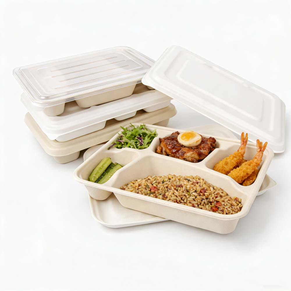 sugarcane bagasse lunch box (2).jpg