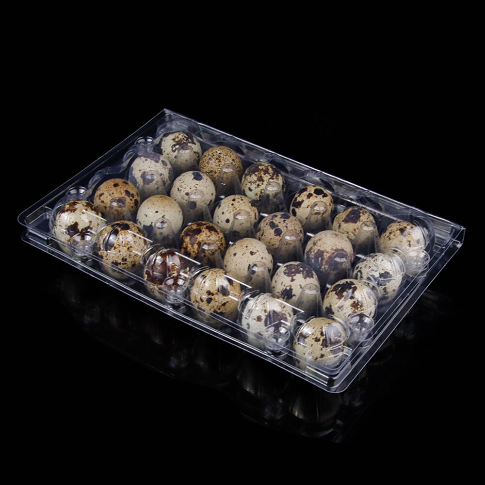 engångs transparent förpackningsbehållare i RPET för 24 kvalungar