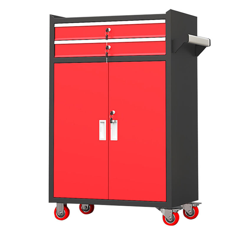 Servicios de asesoramiento y apoyo de expertos