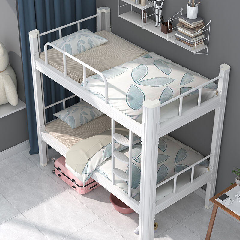 Adaptabilitas dan Fungsi Modern