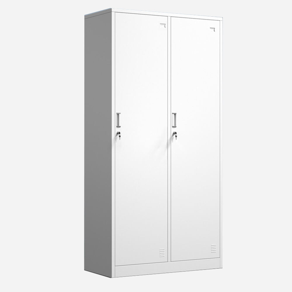 Durable 2-Door Steel Locker for Office, Gym & School Storage | Factory Direct