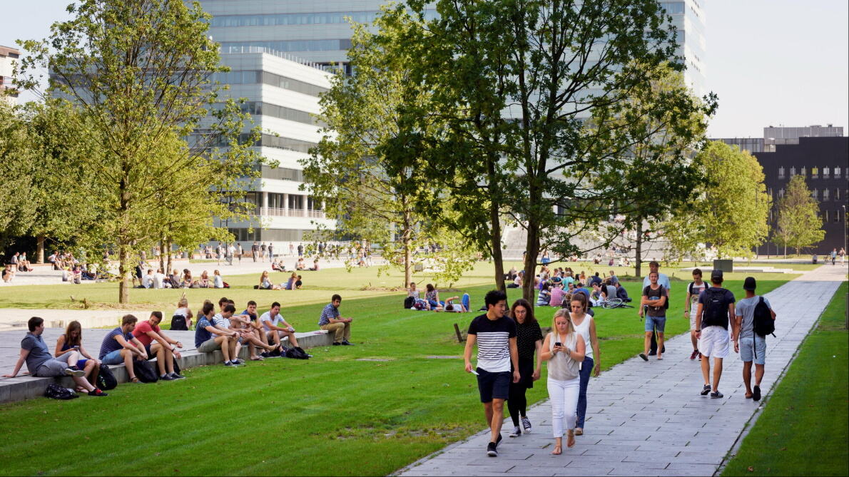 University Campus
