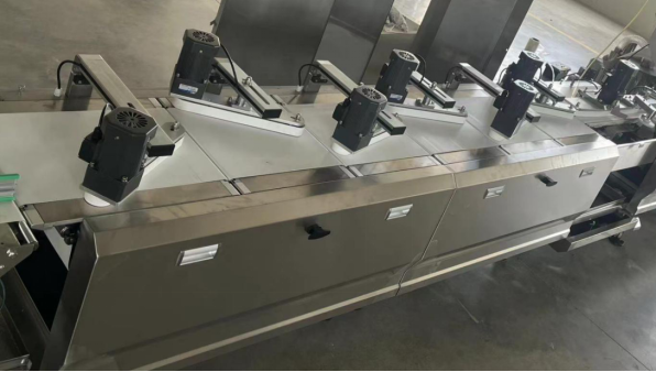 Horizontal Automatic Feeding and Flow Wrapping Machine