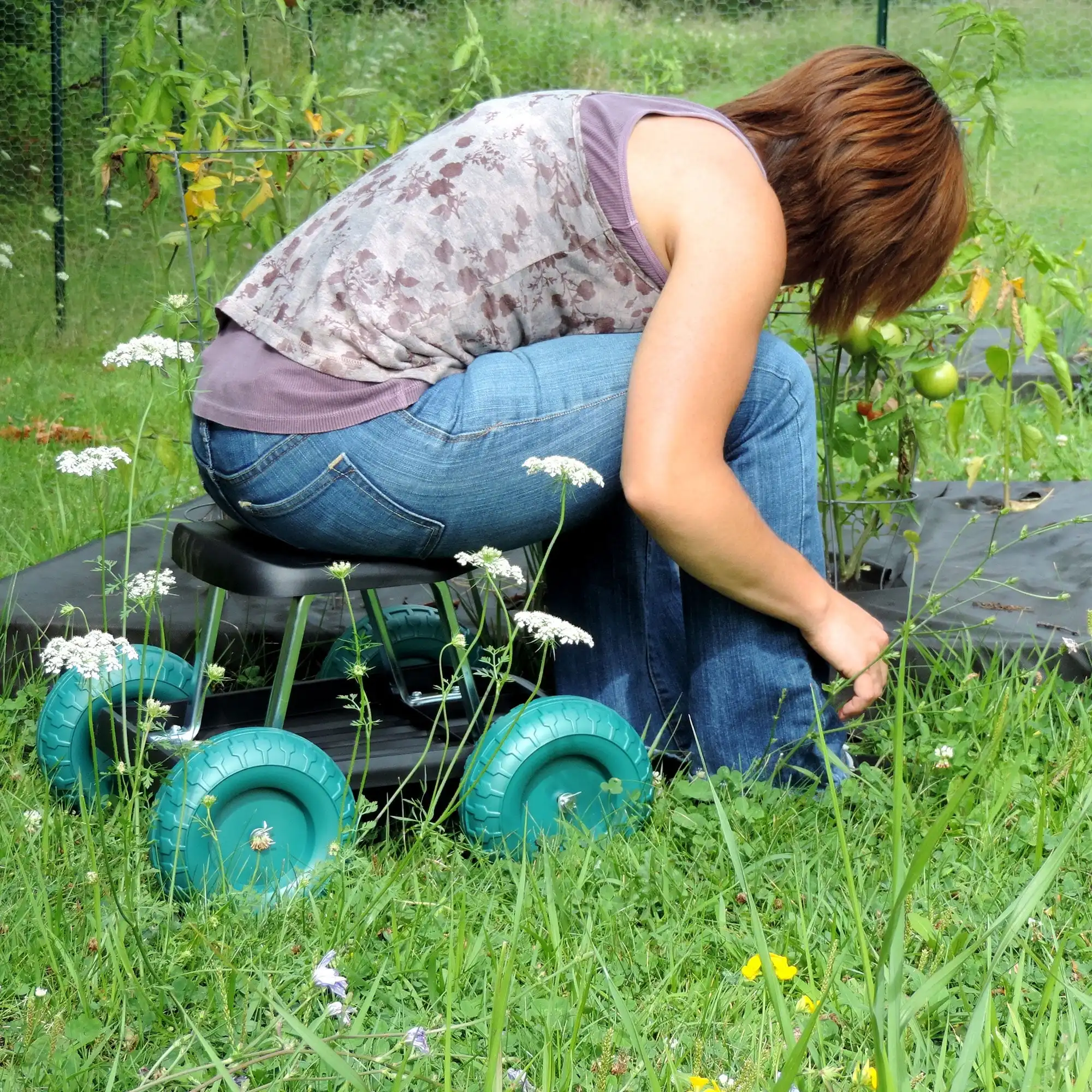 1(c1726d7735).webp