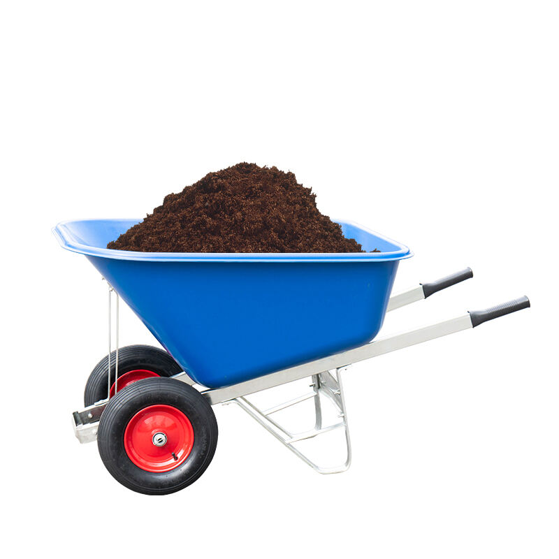 Heavy Duty Double Wheel Wheelbarrow