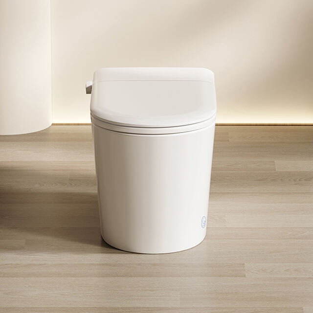 Modello di toilette intelligente a pavimento leggermente smart S009