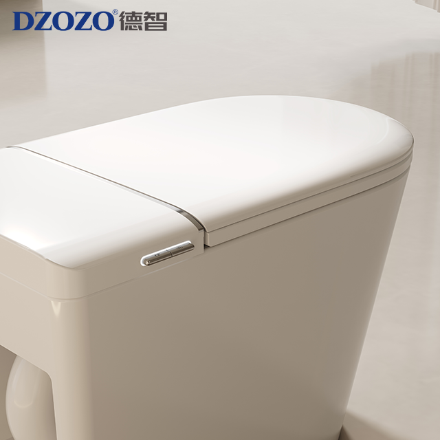 Floor mounted light smart toilet model S021