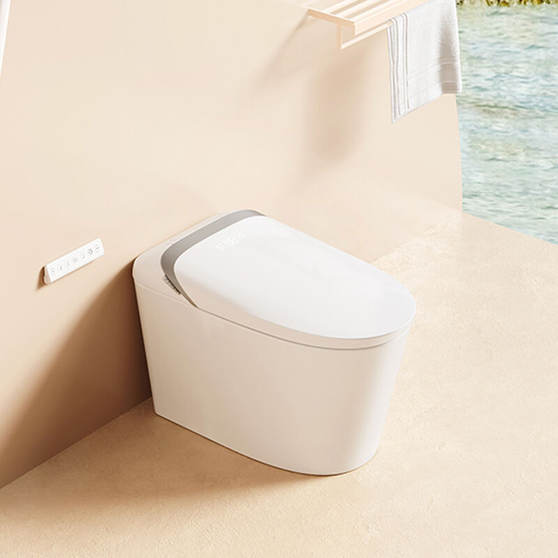 Floor mounted fully smart toilet model S037