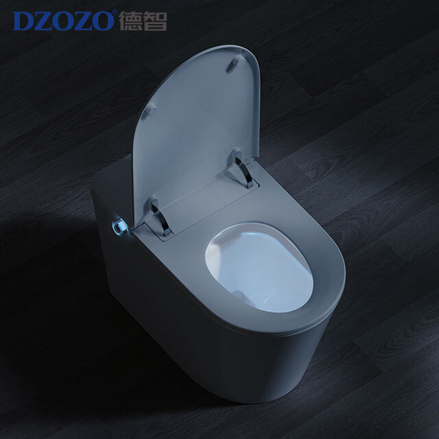 Floor mounted light smart toilet model S020