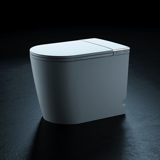 Floor mounted light smart toilet model S013