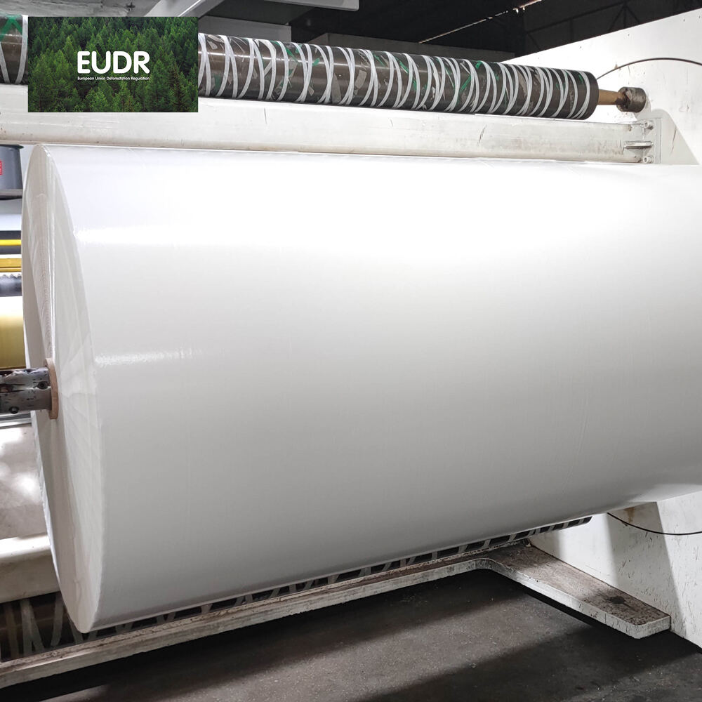 Materiales de alta calidad para impresiones duraderas