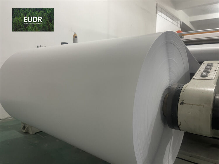 Calidad y versatilidad inigualables de rollos jumbo de papel adhesivo mate