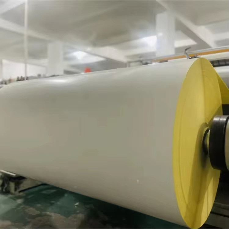 How to Pick PE Coated Paper Roll for Food Packaging?