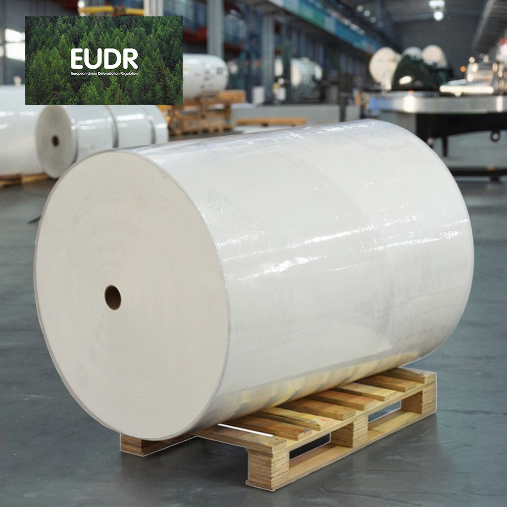 Eco-Friendly Options for Paper Adhesive