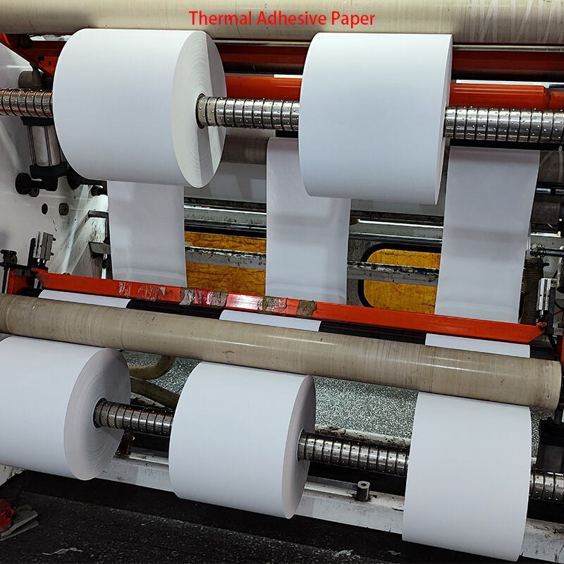 Why Choose Our Self Adhesive Thermal Paper Rolls?