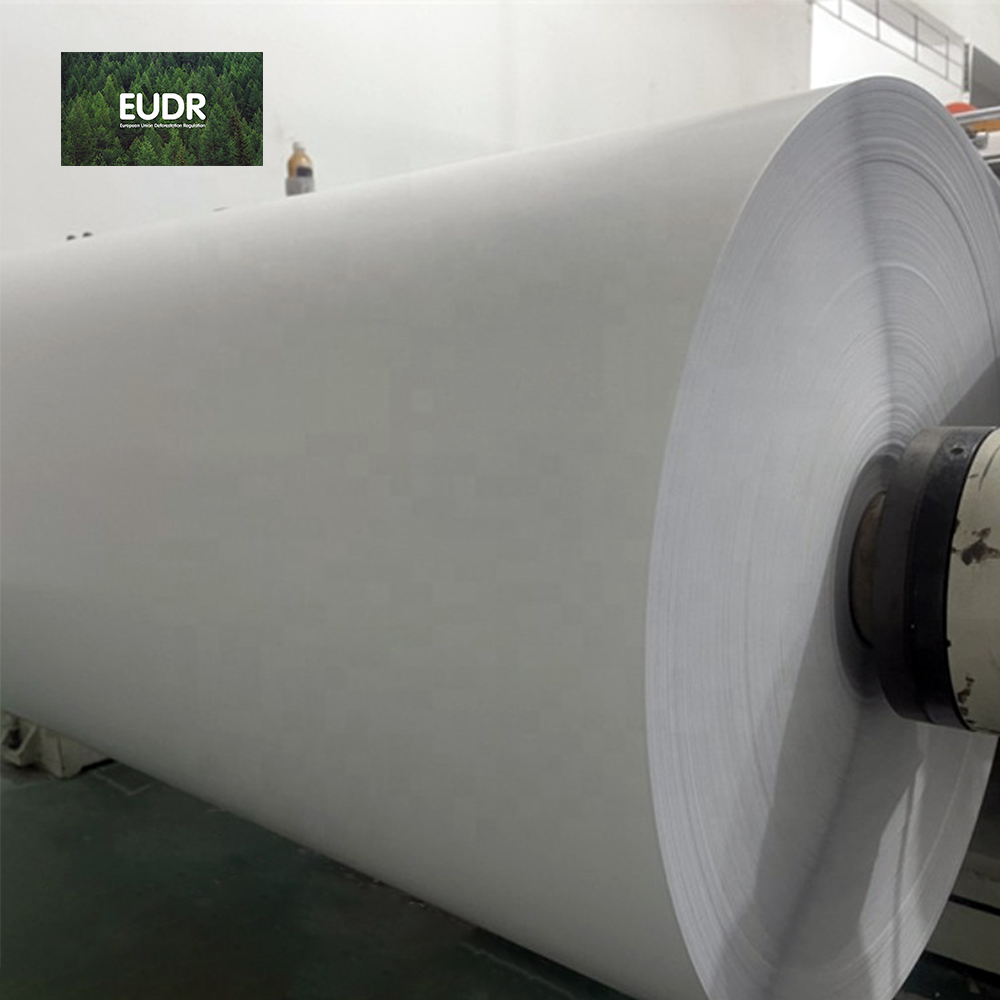 What Are the Benefits of Sticker Paper Jumbo Roll for Businesses?
