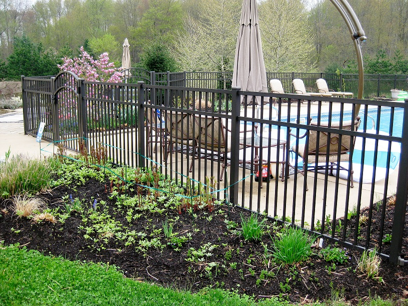 Garden Fence: Enhancing the Beauty and Privacy of Your Outdoor Space
