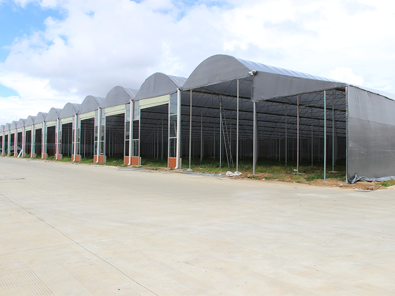 Agriculture Polyethylene Tarpaulin