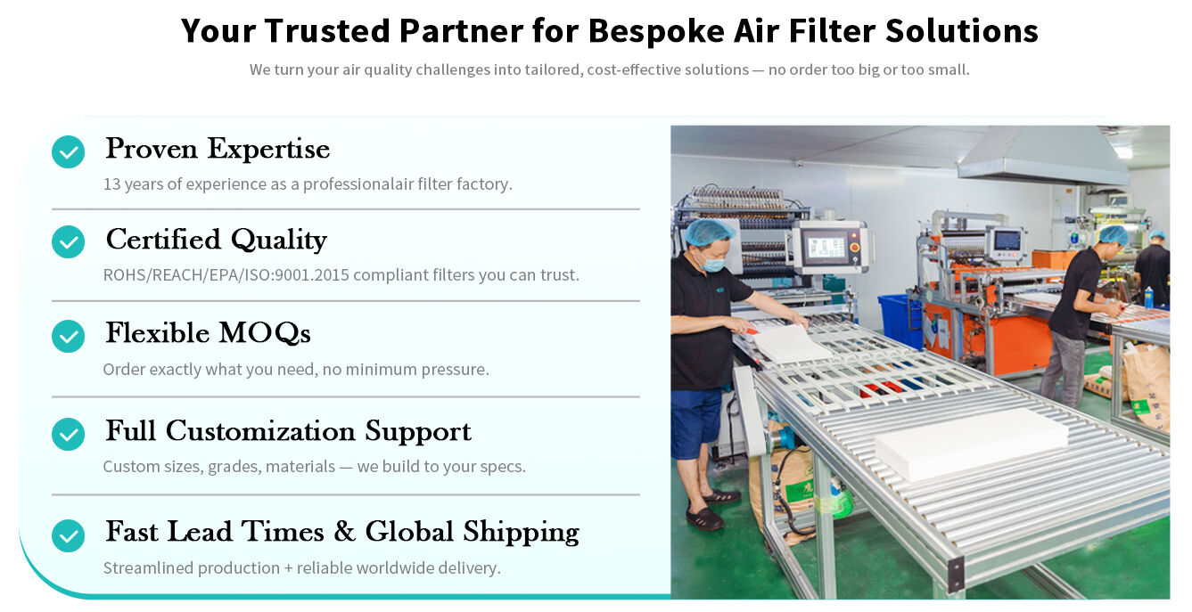 Air Purifier Filter,Hepa Filter,Filter Cartridge Supplier - Walson