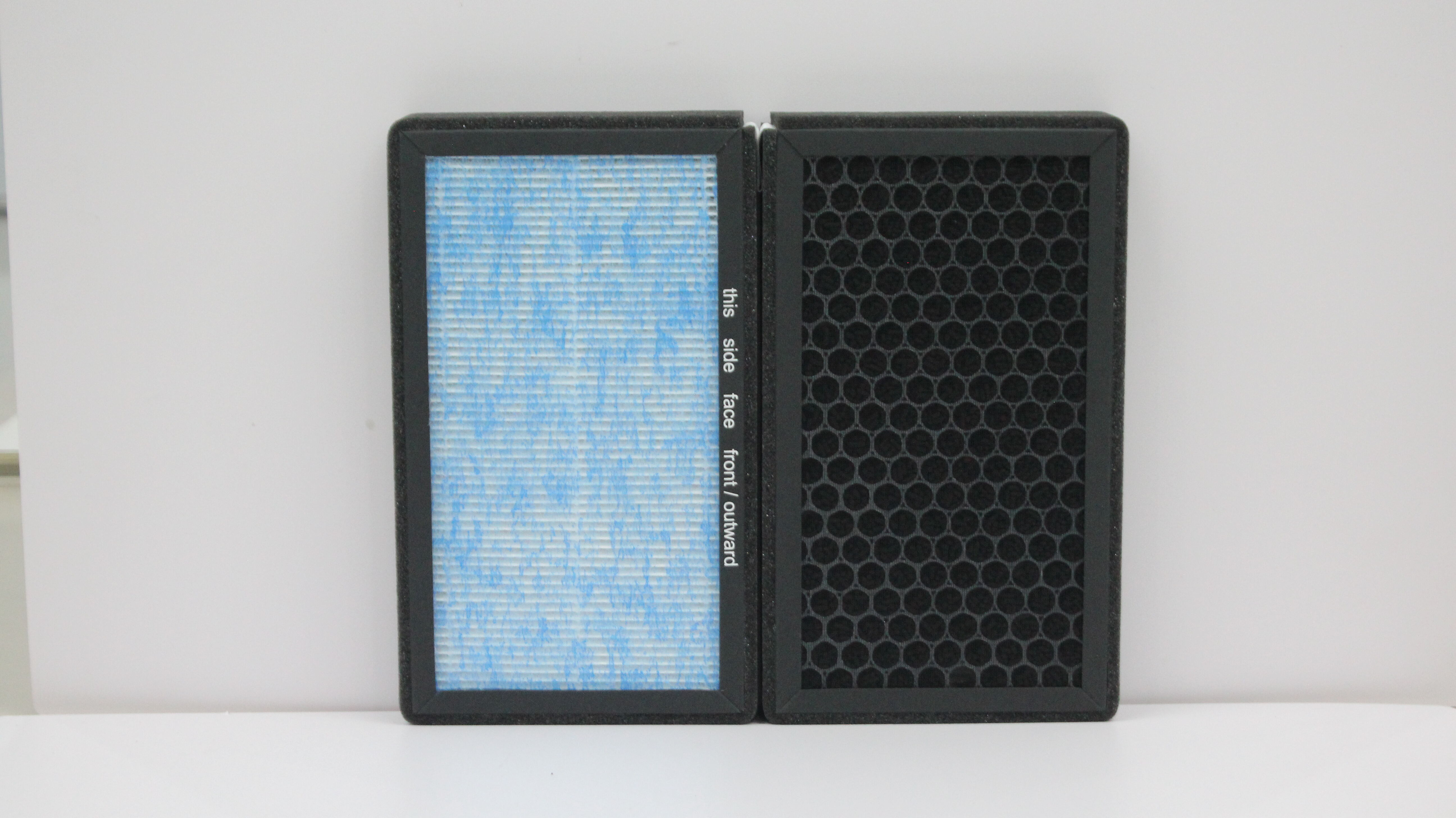 The HEPA & Carbon Solution