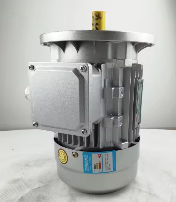 Tops Flange Type 2.2kw B5 MS100L1-4 220/380 V Three Phase AC 1400rpm Electric Motor factory
