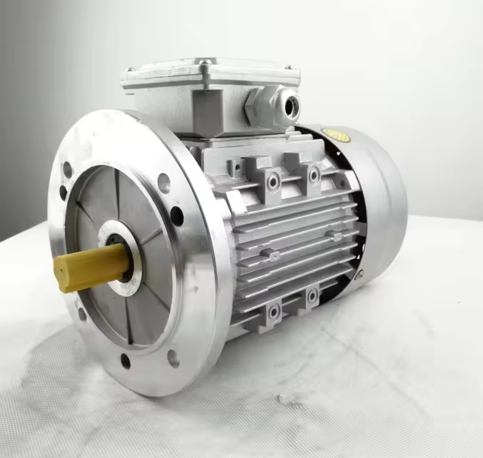 Tops Flange Type 2.2kw B5 MS100L1-4 220/380 V Three Phase AC 1400rpm Electric Motor supplier